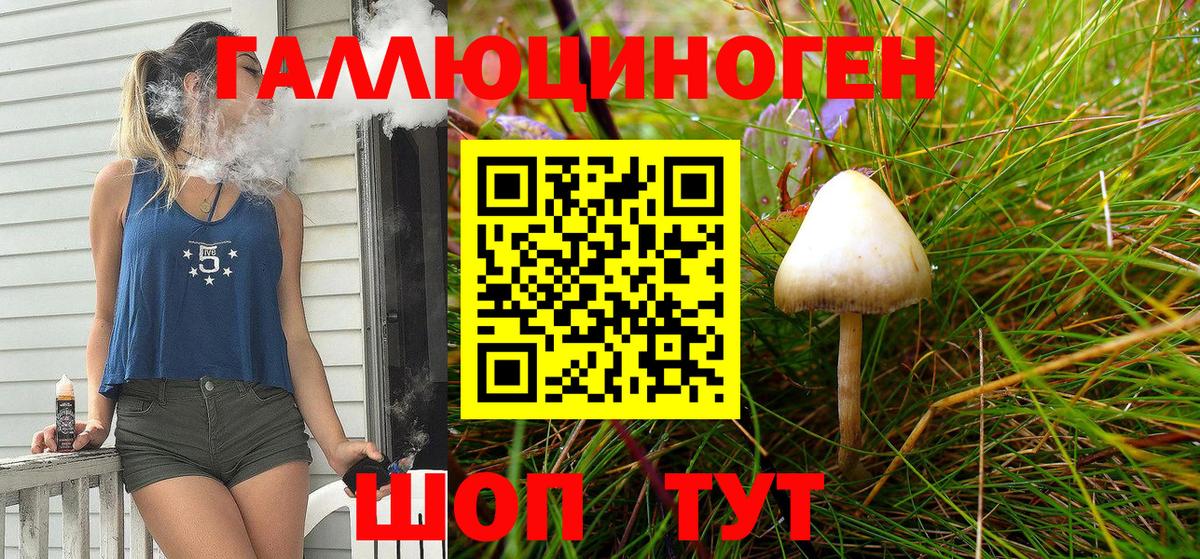 Галлюциногенные грибы Cubensis  Вход с VPN  Дмитров 